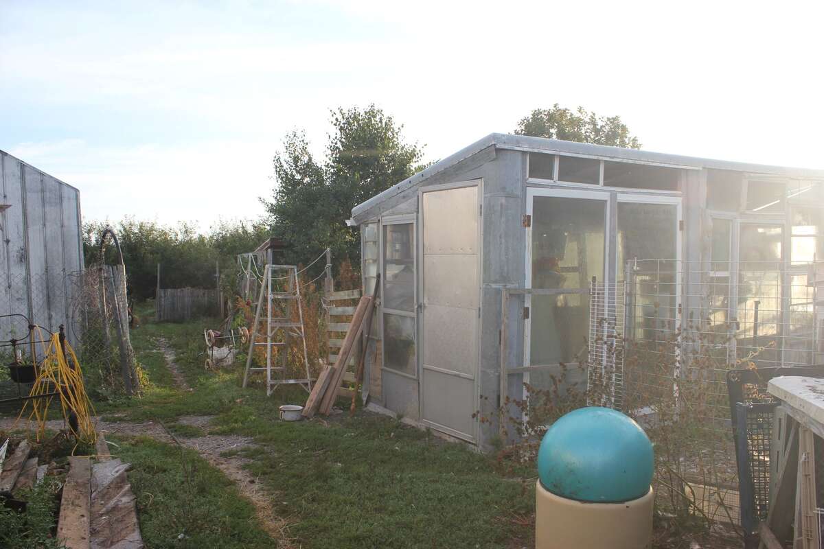 Small shed/greenhouse