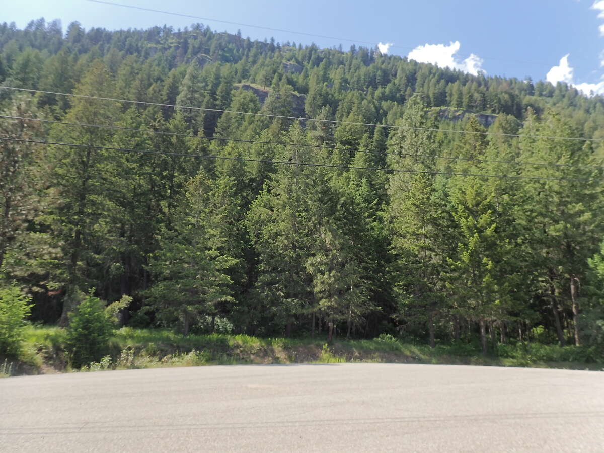 Vacant Land For Sale Grand Forks, BC