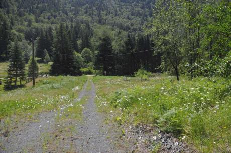 Acreage / Vacant Land For Sale in Lindell Beach, BC - 0 bdrm, 0 bath (43751 Frost Road)