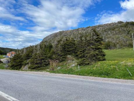 Acreage / Vacant Land For Sale in Stephenville, Newfoundland and Labrador - 0 bdrm, 0 bath (Main rd)