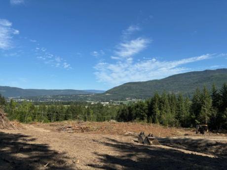 Vacant Land / Acreage For Sale in Salmon Arm, BC - 0 bdrm, 0 bath (5111 5 Ave SW)