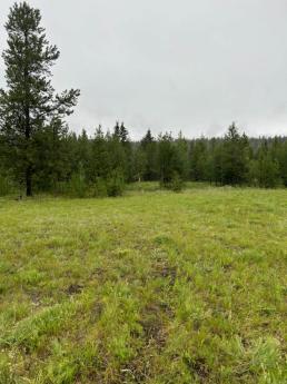 Vacant Land For Sale in 70 Mile House, British Columbia - 0 bdrm, 0 bath (6656 Rayfield Road)