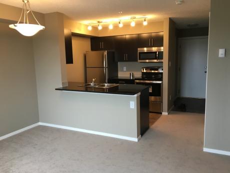 Apartment / Condo For Sale in St. Albert, AB - 2 bdrm, 1 bath (25 Element Dr N)